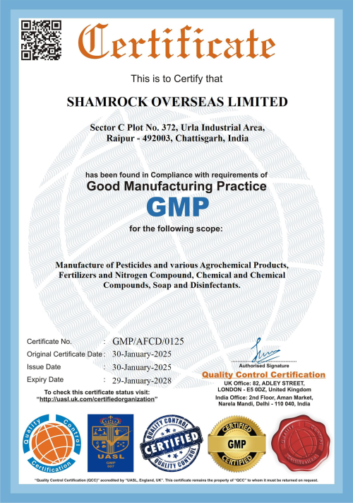 GMP, Shamrock Overseas