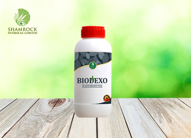 Biodexo