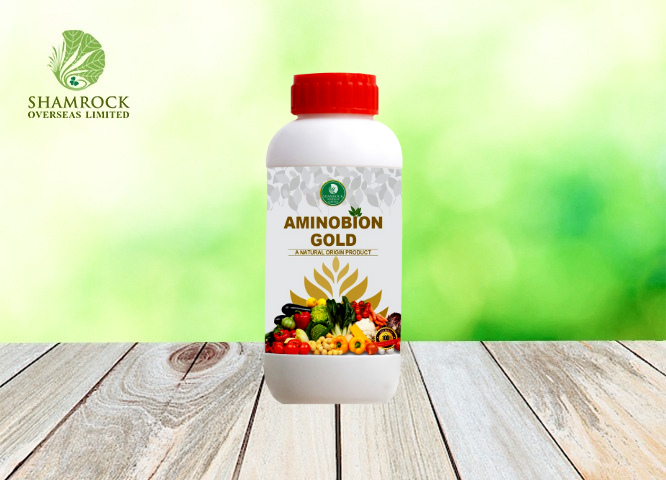 Aminibion Gold