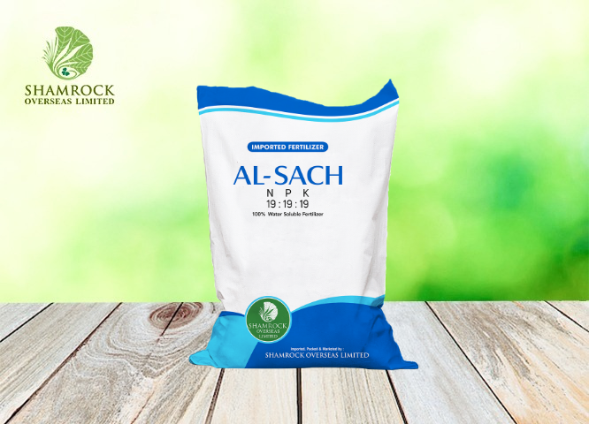 Water Soluble Fertilizers