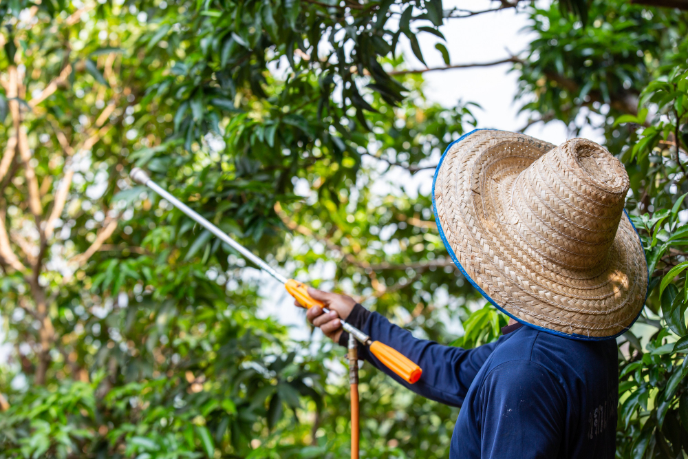 Insecticides & Pesticides